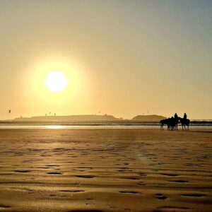 S’autoriser à ralentir : le ressourcement comme étape vers le rebond