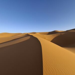 Reprendre le contrôle : les bienfaits du ressourcement après une période de stress